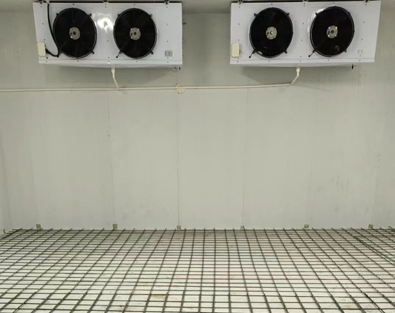 冷庫(kù)建設(shè)步驟包括什么？從規(guī)劃到驗(yàn)收的全流程拆解