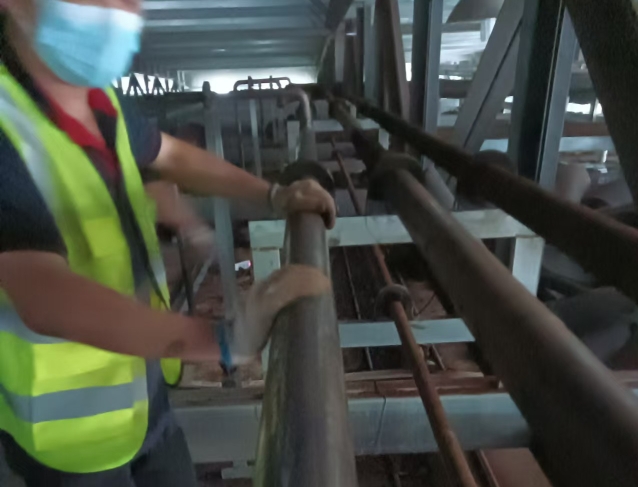 黃瓜放冷庫(kù)能存多久？科學(xué)存儲(chǔ)讓黃瓜保鮮期延長(zhǎng)至14天