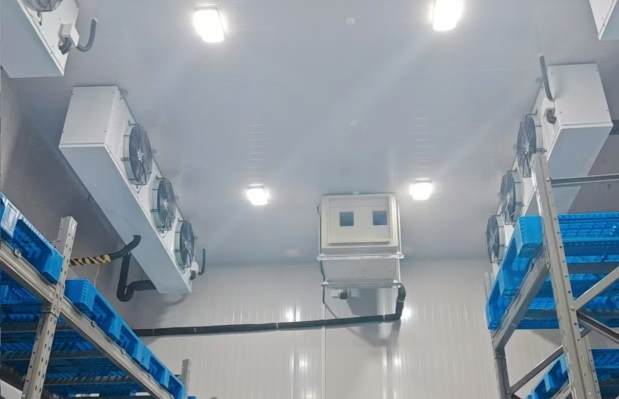 低溫?zé)o霜冷庫費(fèi)用怎么算？從材料到安裝的隱藏成本全拆解