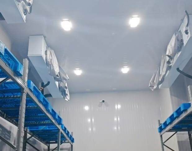 冷庫專用多層升降機：冷鏈物流高效運輸?shù)木苎b備