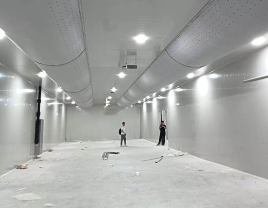 冷庫里面冷嗎？——深度解析冷庫溫度控制