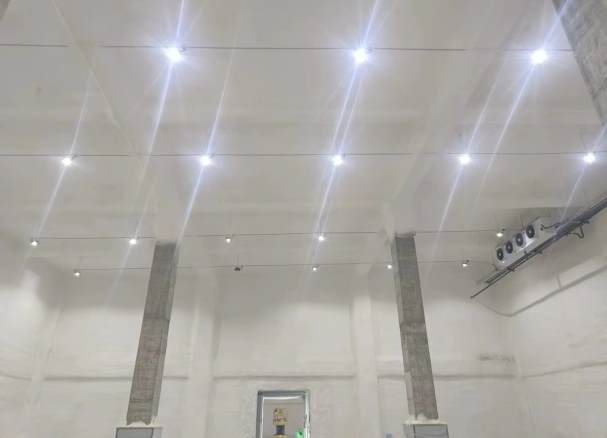 小型冷庫的冷媒是什么？冷媒選擇與性能優(yōu)化全解析