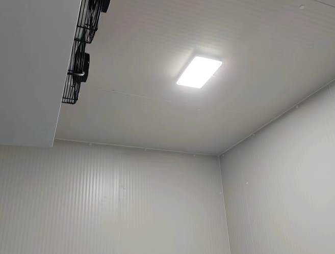 兩相電冷庫可以用嗎？——可行性深度解析與享寧制冷實踐案例