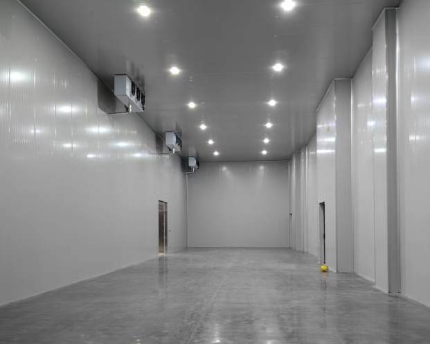 板栗在冷庫怎么保存？掌握這些技巧讓新鮮持久不壞