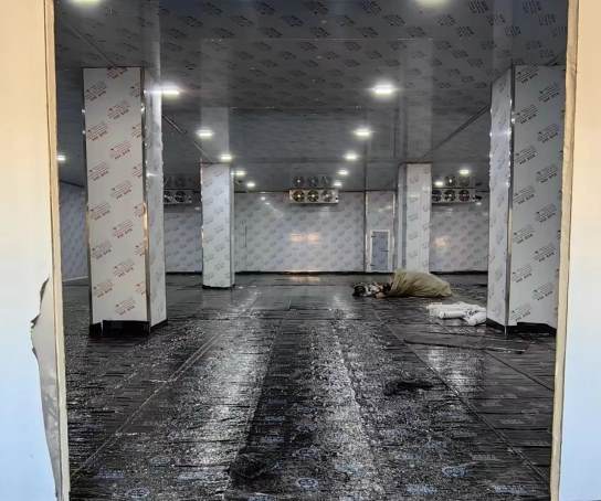 冷庫壓縮機(jī)哪種噪音?。可疃葘?duì)比+實(shí)測(cè)數(shù)據(jù)揭秘