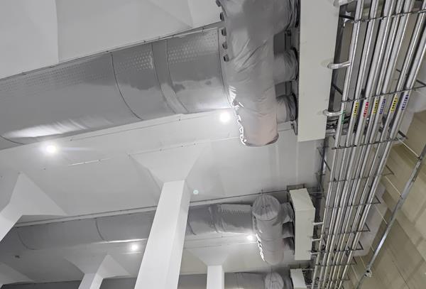 擺地?cái)傎u水果要冷庫嗎？實(shí)測告訴你答案