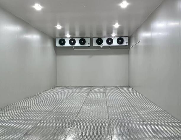 冷庫(kù)裝卸工還能干嗎？行業(yè)變遷下的生存智慧與新機(jī)會(huì)