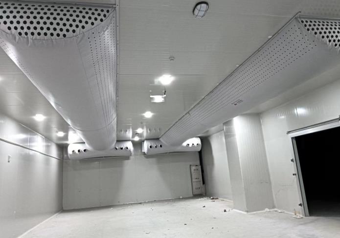 生姜保鮮冷庫多少度？溫度控制與保鮮效果的關(guān)系解析