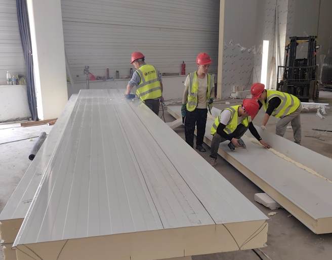 冷庫的溫度多少合適？從科學到實踐的精準溫度管理指南