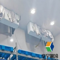 冷庫(kù)蒜苔科學(xué)儲(chǔ)藏全攻略：保鮮技巧與周期管理核心方案