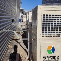 冷庫蒜苔分什么等級？儲(chǔ)藏品質(zhì)分級標(biāo)準(zhǔn)與選購避坑指南