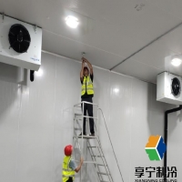 一百平方冷庫花多少錢？別猜了！20萬以上預(yù)算這樣花才值！