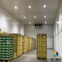 冷庫(kù)保溫材料哪種最好最安全？5大維度+真實(shí)數(shù)據(jù)幫你選對(duì)