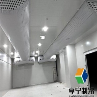 豬肉在冷庫可以存放多久？溫度控制、儲存技巧與保鮮期限全解析