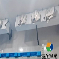 科學(xué)延鮮指南：揭秘冷庫(kù)如何鎖住果蔬的黃金賞味期