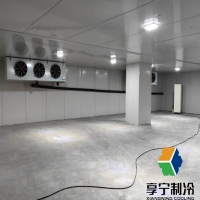 冷庫保鮮蔬菜能保存多久？蔬菜種類、冷庫溫度與預(yù)處理技巧全解析