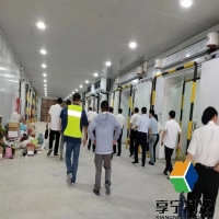 冷庫儲存地瓜溫度最好在多少度？科學控溫全攻略