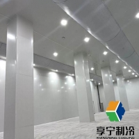 冷庫里面的肉可以保持多久？一篇說透溫度、種類與保鮮的硬核指南