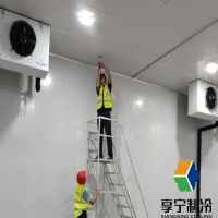 冷庫(kù)溫濕度管理：解碼水果保鮮的"環(huán)境密碼"與智能調(diào)控策略