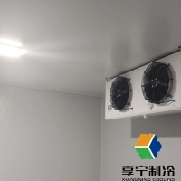 2000立方米冷庫(kù)多少錢？?jī)r(jià)格拆解與省錢攻略