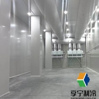 冷庫海鮮能保存多久？科學保存方法+3大影響因素全面解析