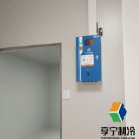 存放蔬菜用冷庫(kù)還是保鮮庫(kù)？冷庫(kù)VS保鮮庫(kù)：蔬菜保鮮成本、效果全面對(duì)比及選擇指南