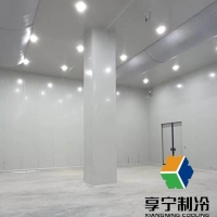 海鮮在冷庫里可以保存多久？看完這篇徹底搞懂保鮮秘訣