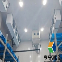 冷庫蘋果保鮮全攻略：精準控溫背后的科學邏輯與實操指南