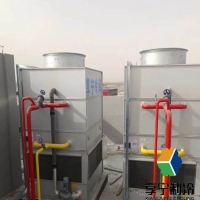 藍(lán)莓冷庫能存多久？正確方法延長保鮮期不縮水