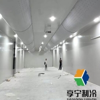 冷庫冷凍豬肉保質期多久？看完這篇再也不怕囤肉翻車！