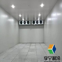 豬肉冷庫冷凍保質期多久正常？超全保存攻略+影響因素解析