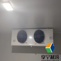 茶葉冷庫儲存溫度多少度合適呢？不同茶類最佳溫度范圍+濕度黃金配比全解析