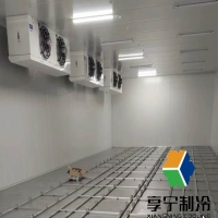 冷庫(kù)保鮮水果能保存多久？全面解析水果冷庫(kù)保鮮時(shí)長(zhǎng)與實(shí)用技巧