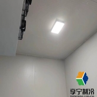 藥品開冷庫間隔多久才能開一次門？冷鏈管理規(guī)范與安全操作指南