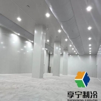 冷庫里面的肉能放多久？不同肉類儲存期限與保鮮攻略詳解