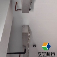 自己有100平米冷庫可以做啥生意？5個高收益運營方案與避坑指南