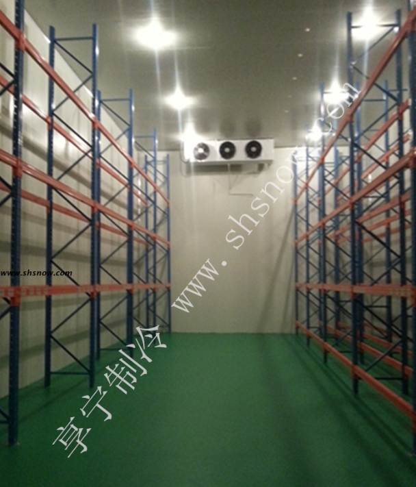 大型綜合性冷鏈冷庫–杭州蕭山國際機(jī)場冷庫工程